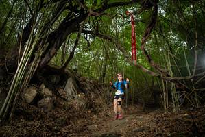 BIB: 
                            <button type="button" onclick="openModal(22178863)" class="btn btn-primary btn-sm float-right btn-popup" data-toggle="modal" data-target=".modal-high-quality">
                        <i class="fas fa-shopping-cart"></i> Add to Cart
                    </button>
                                            <button type="button" onclick="isThisMe(22178863, true)" class="btn btn-success btn-sm float-right btn-popup btn-isme hidden" data-toggle="tooltip" data-placement="bottom" title="นี่คือรูปของคุณใช่ไหม คลิกที่นี่เพื่อเอาเข้าอัลบั้ม">
                        <i class="fas fa-plus"></i> Add to album
                    </button>
                    <button type="button" onclick="isThisMe(22178863, false)" class="btn btn-warning btn-sm float-right btn-popup btn-isnotme hidden">
                        <i class="fas fa-ban"></i> Remove from album
                    </button>